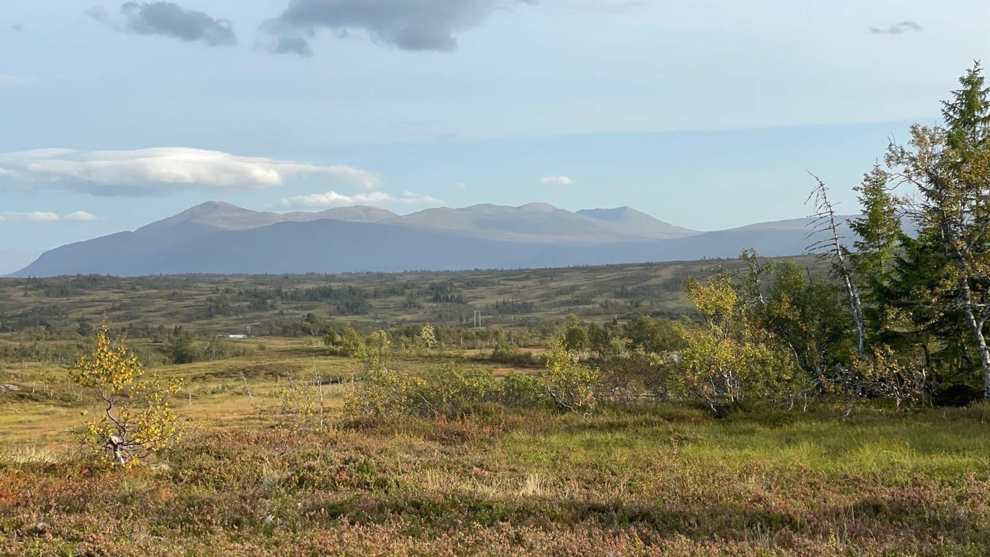 Storlien Hoegfjaellshotell Ab Buitenkant foto