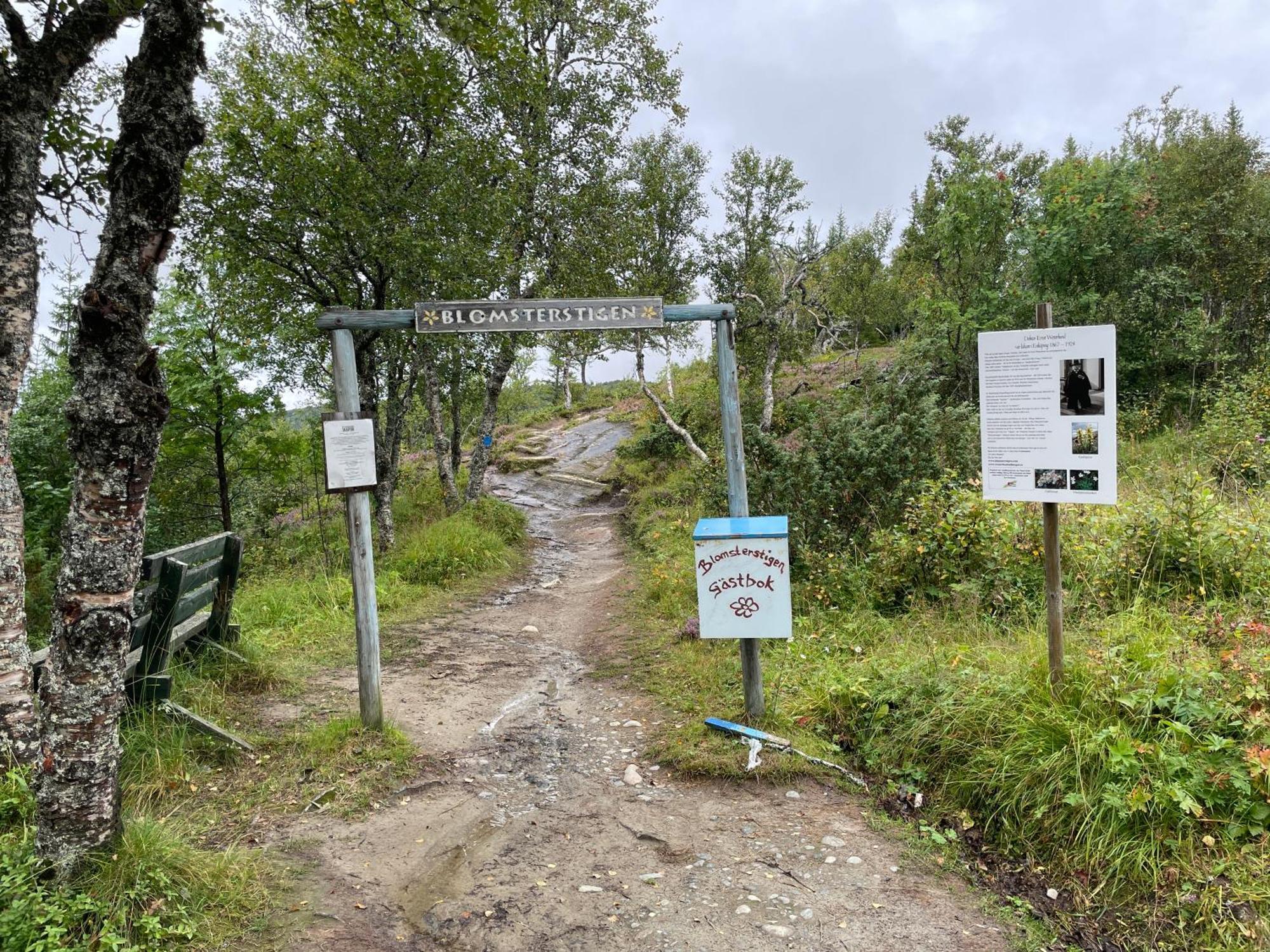 Storlien Hoegfjaellshotell Ab Buitenkant foto